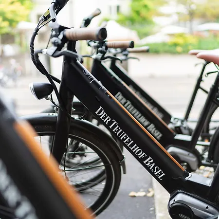 Boutique Waldhaus Beider Basel Hotel 3*