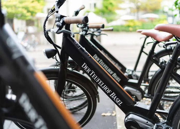 Boutique Waldhaus Beider Basel 酒店 3*