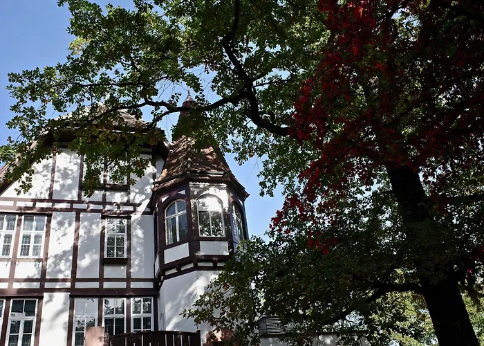 Boutique Waldhaus Beider Basel 酒店 3*